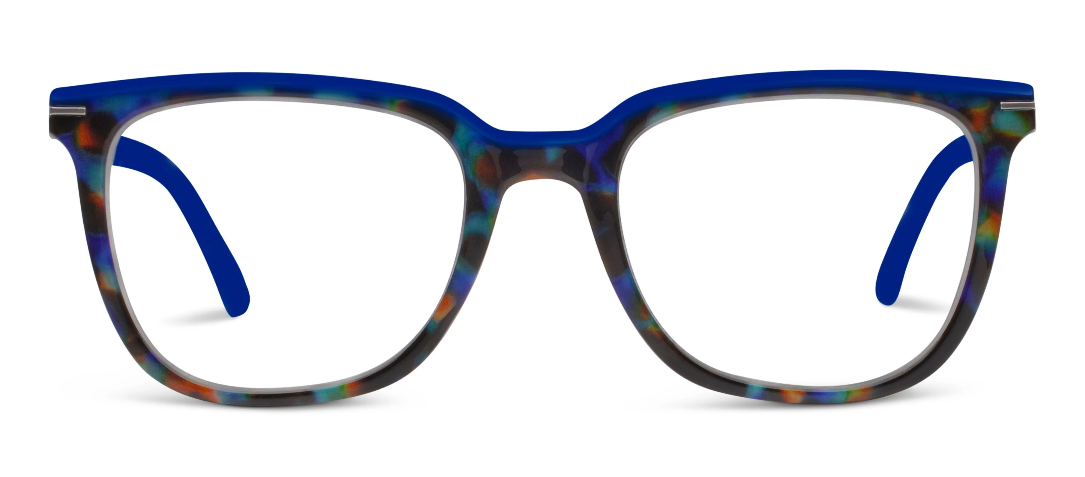 Dante (Blue Light) - Image 15