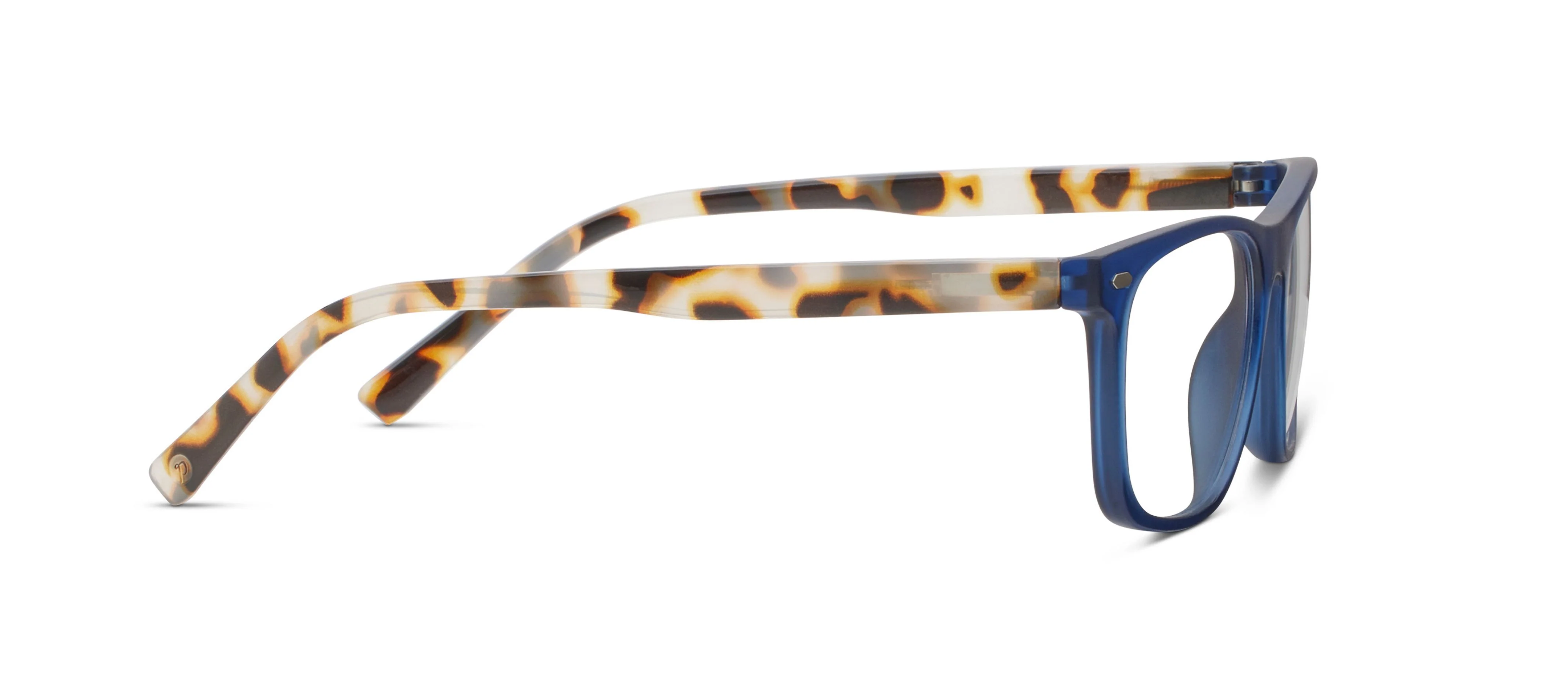 Dexter (Blue Light) - Image 11