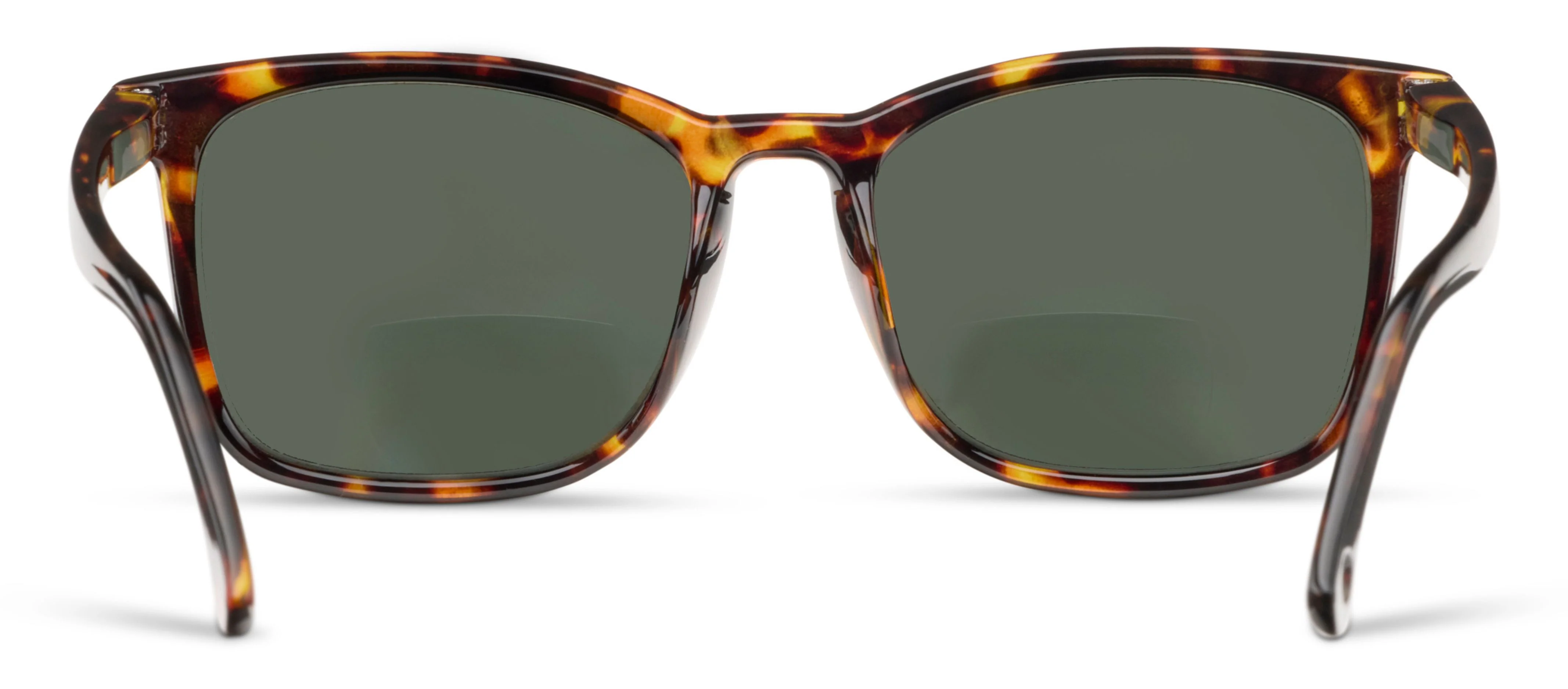 Mateo - Image 10