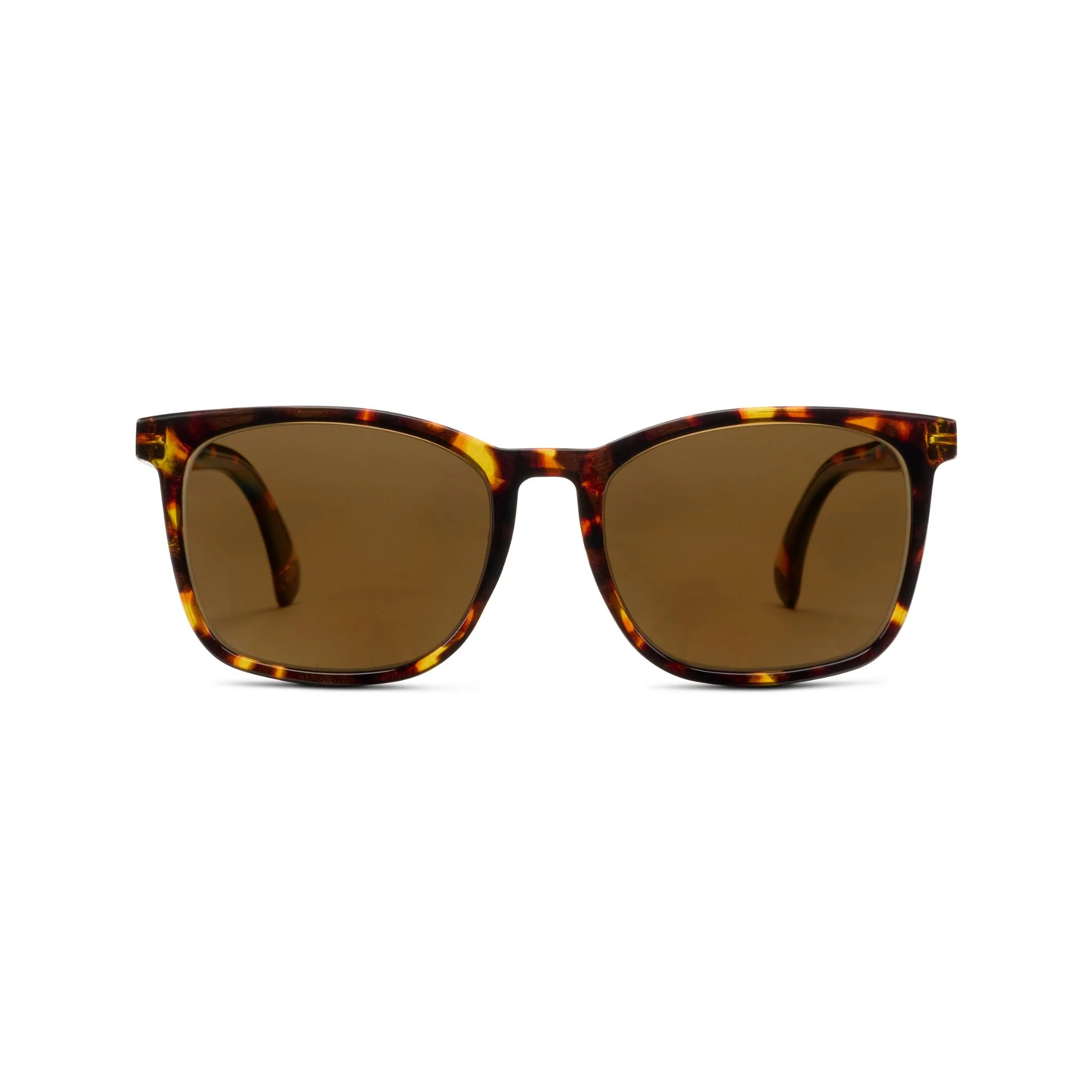 Mateo - Image 12