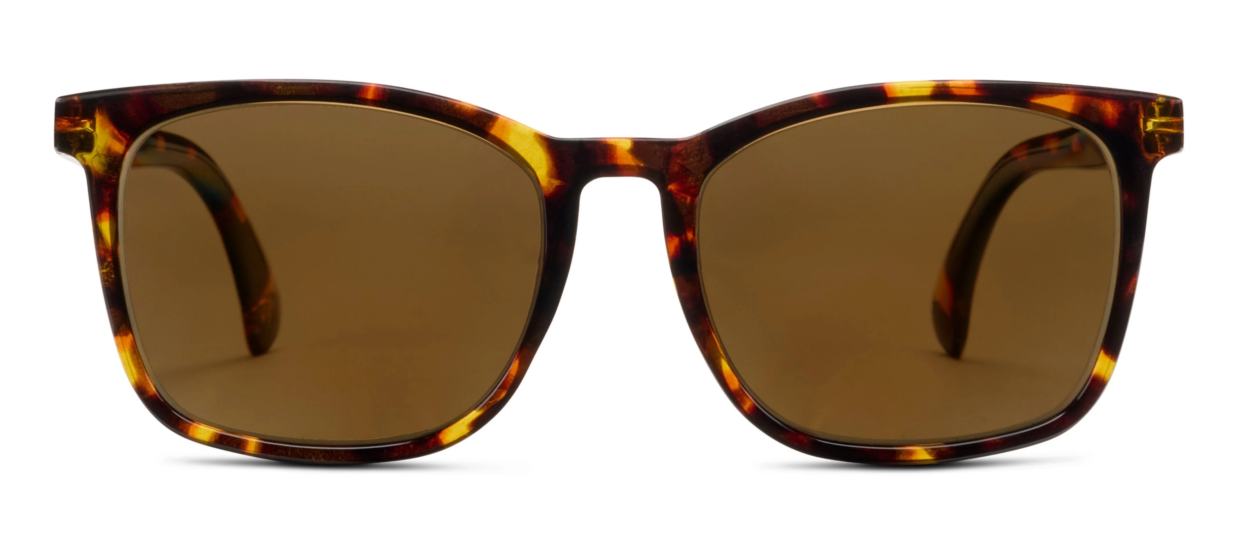 Mateo - Image 14