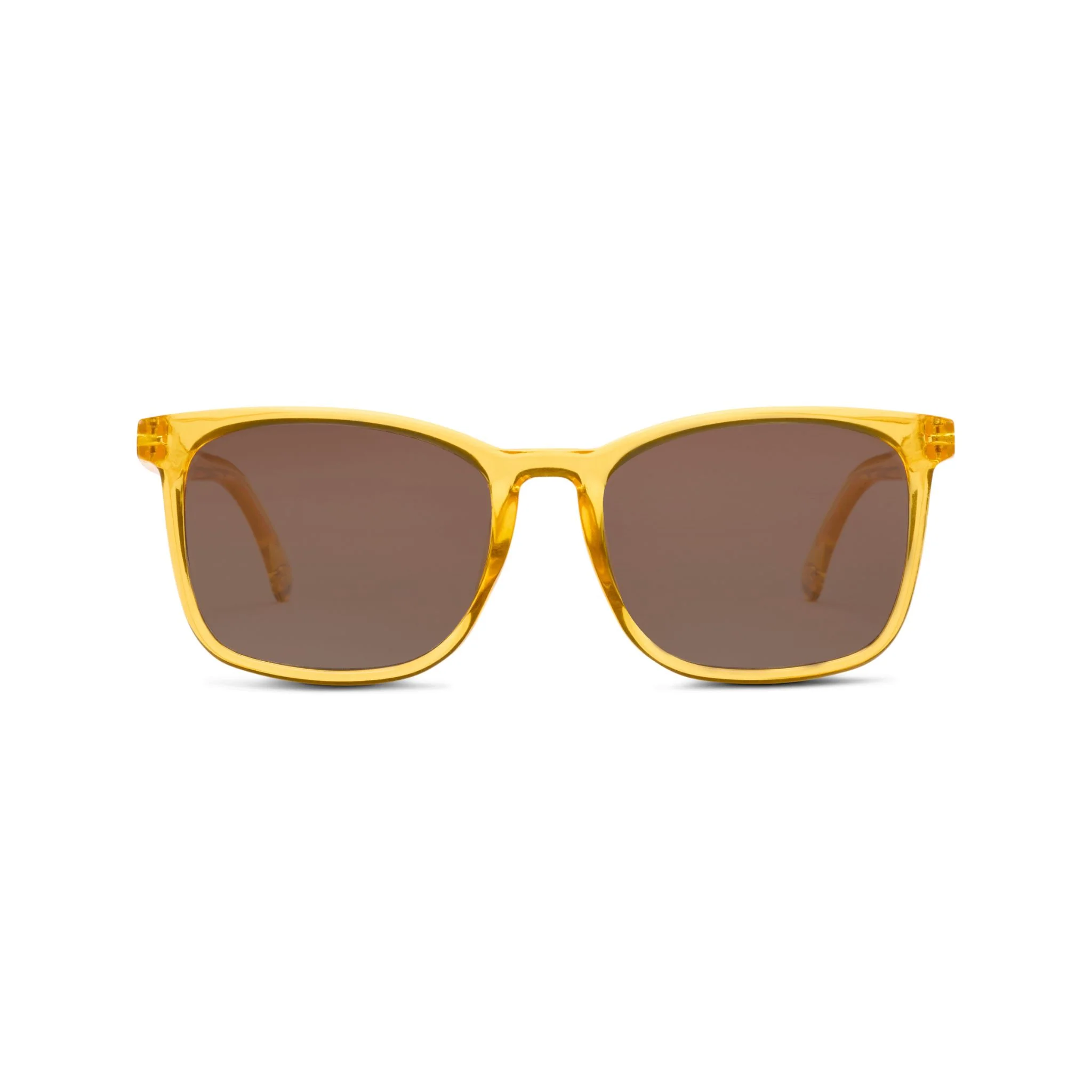 Mateo - Image 19