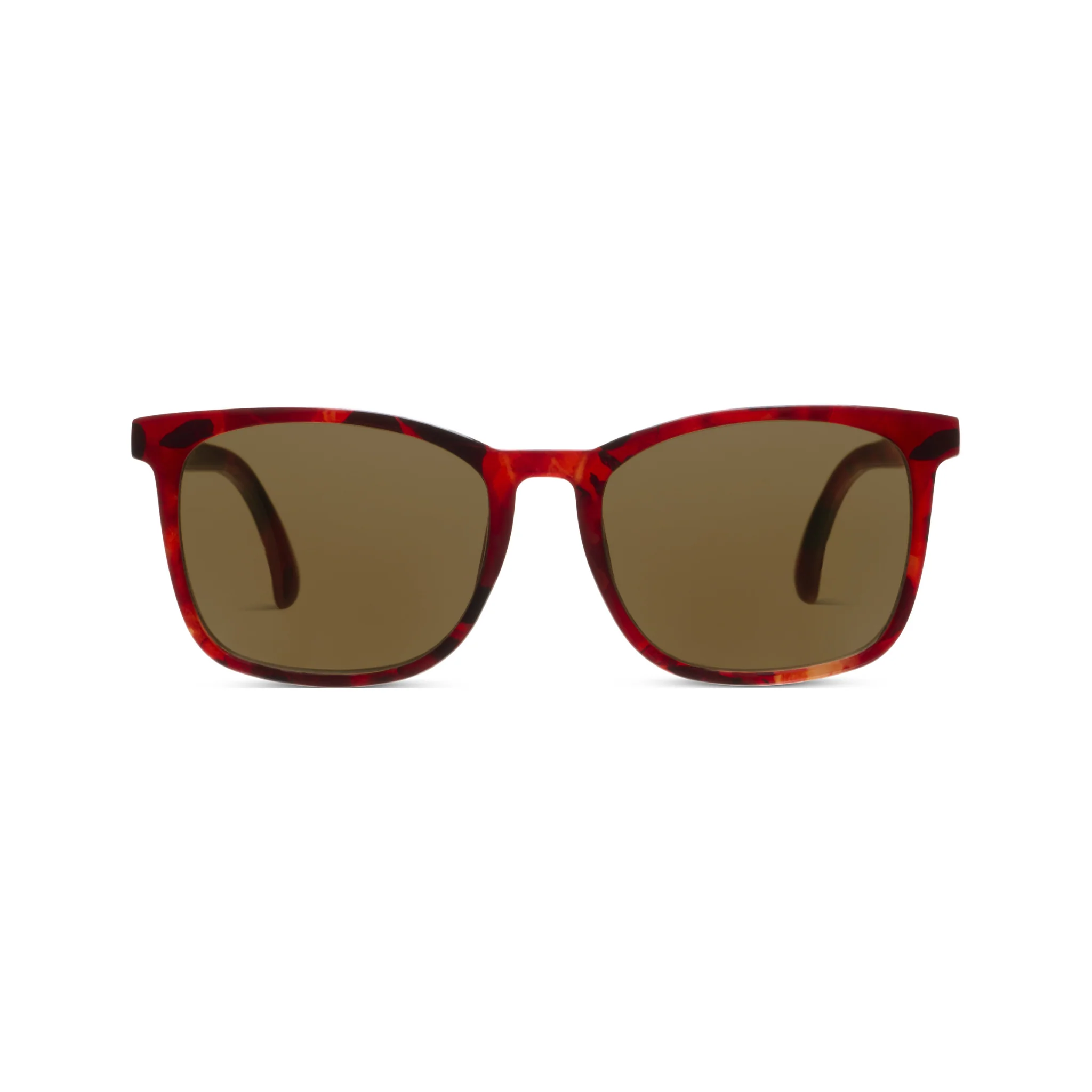 Mateo - Image 24