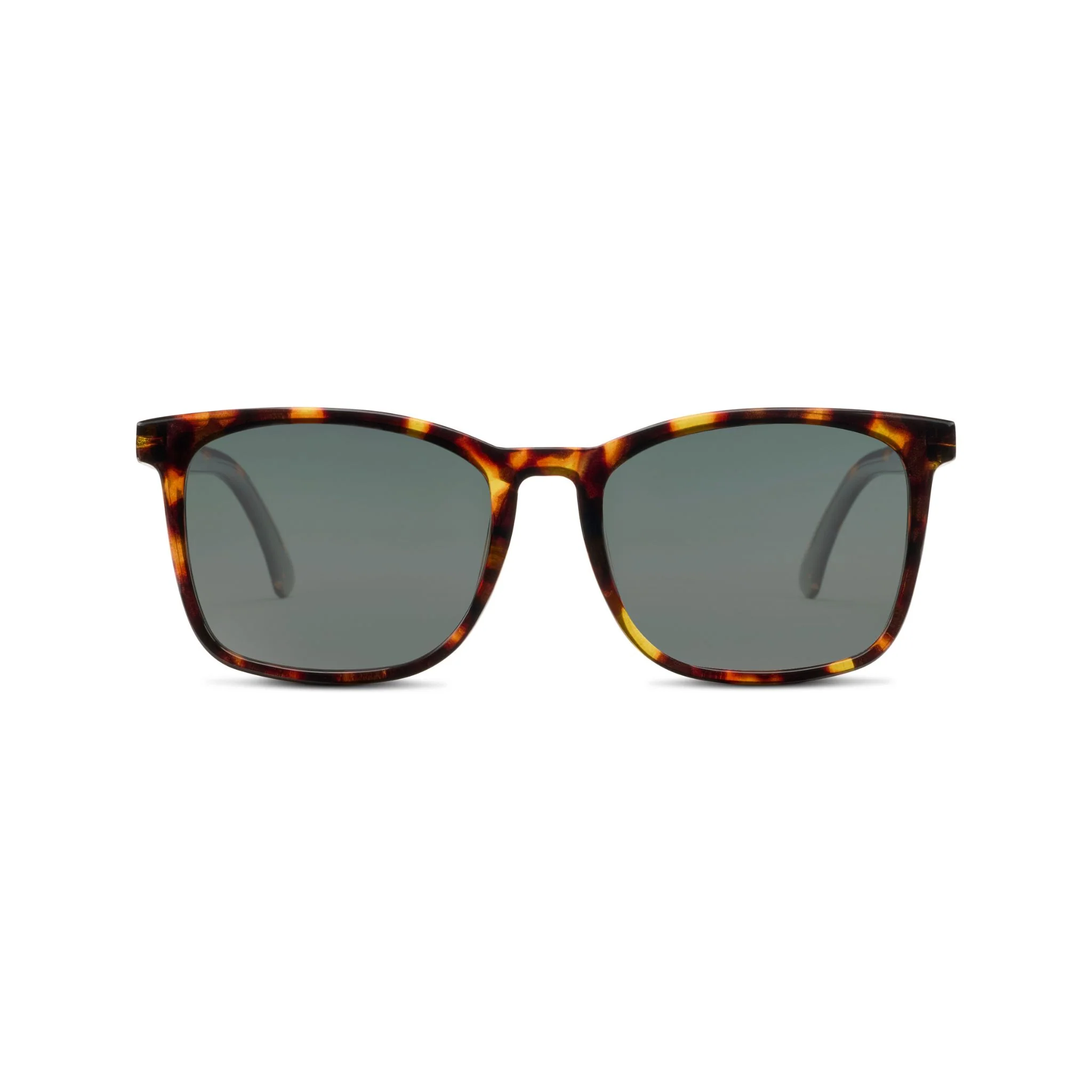 Mateo - Image 7