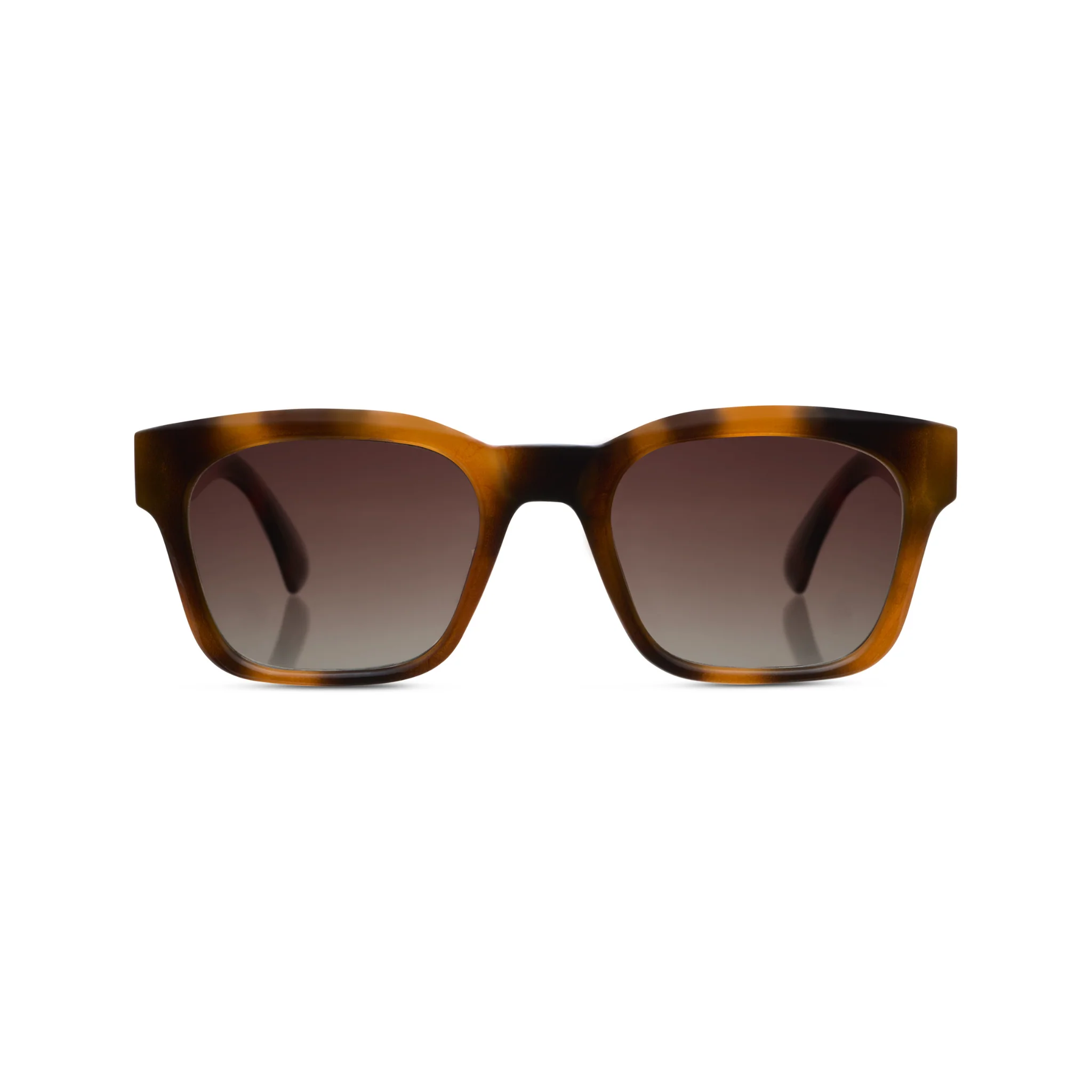 New Sunglasses Styles