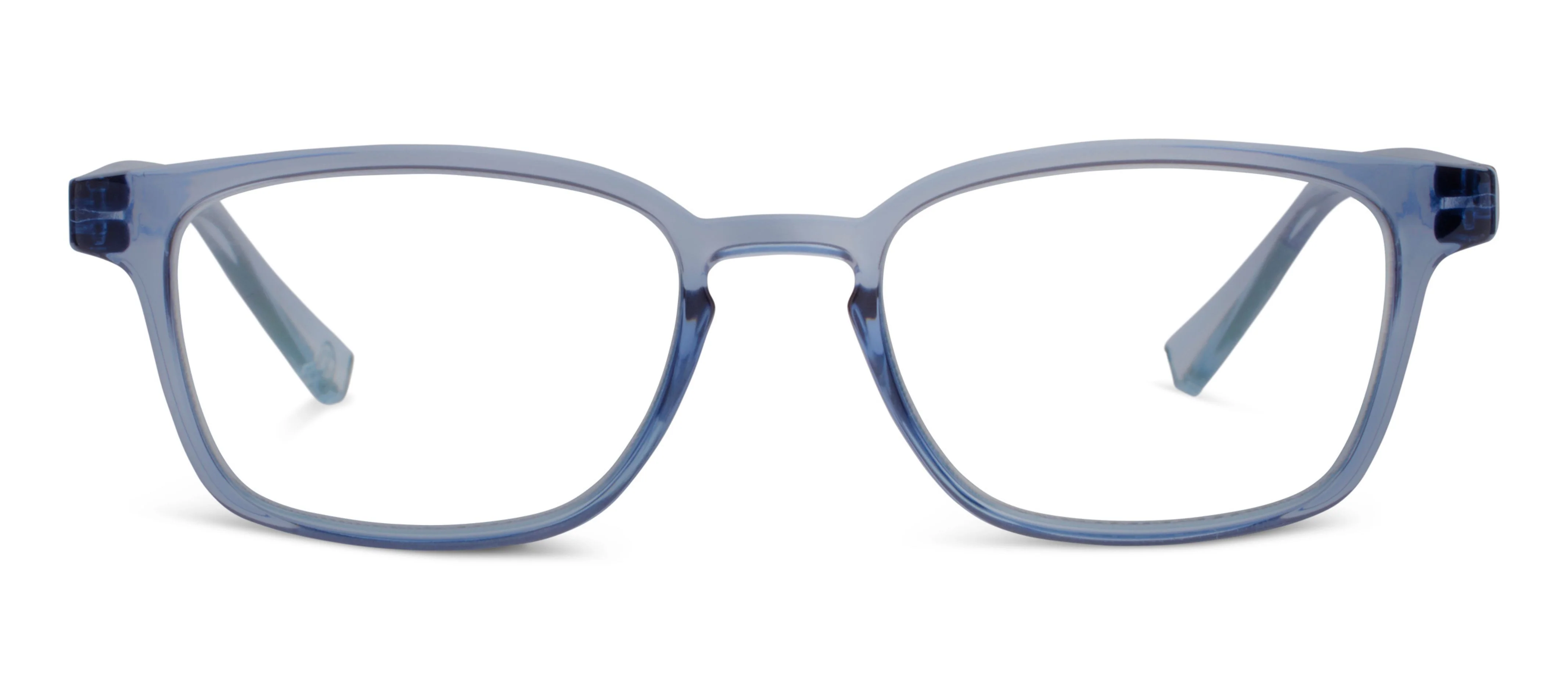 Rosemary (Blue Light) - Image 6