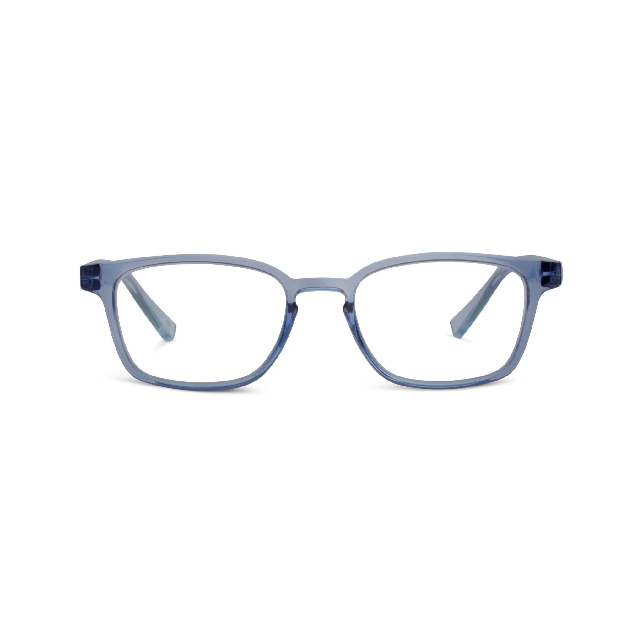 Rosemary (Blue Light) - Image 8