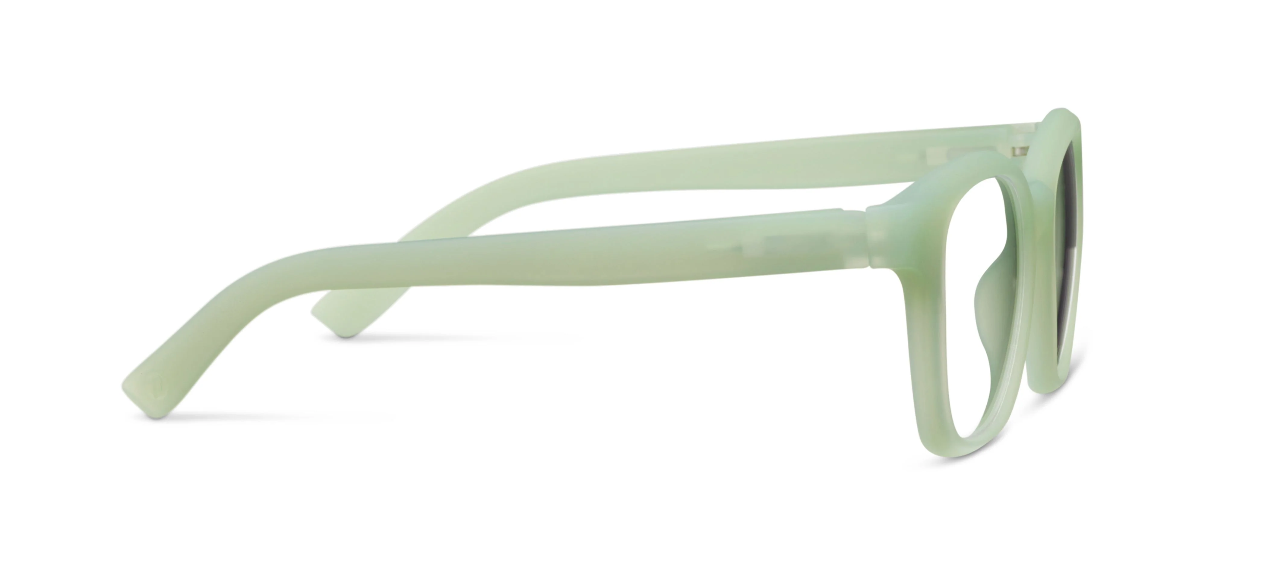 Zinnia (Blue Light) - Image 9
